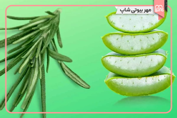روغن رزماری و آلوئهورا برای رشد سریع مو