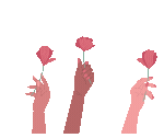 Popup Image