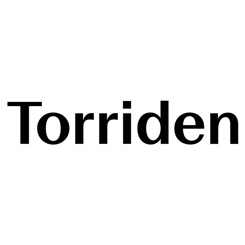 توریدن | Torriden